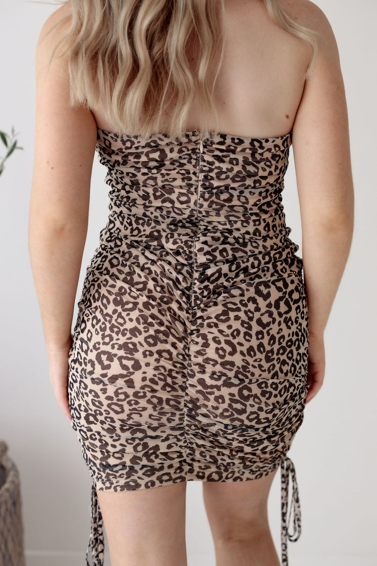 Tazman Leopard Print Halter Dress